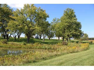 Property photo 12 - Tillable, Pasture, Recreational, Hunting and Fishing Property  